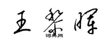 梁锦英王黎晖草书个性签名怎么写