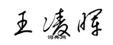 梁锦英王凌晖草书个性签名怎么写