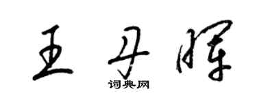 梁锦英王丹晖草书个性签名怎么写