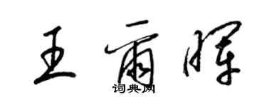 梁锦英王尔晖草书个性签名怎么写