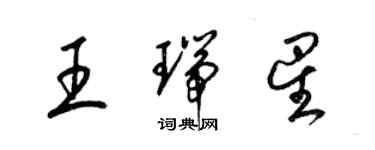 梁锦英王瑞星草书个性签名怎么写