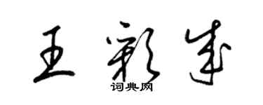 梁锦英王彩成草书个性签名怎么写