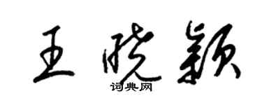梁锦英王晓颖草书个性签名怎么写