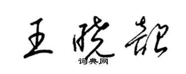 梁锦英王晓韶草书个性签名怎么写