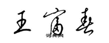 梁锦英王富春草书个性签名怎么写