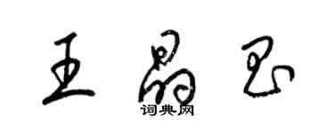 梁锦英王晶昌草书个性签名怎么写