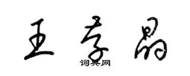 梁锦英王存晶草书个性签名怎么写