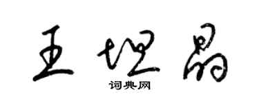 梁锦英王坦晶草书个性签名怎么写