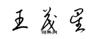 梁锦英王茂星草书个性签名怎么写
