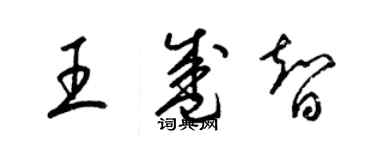 梁锦英王盛智草书个性签名怎么写