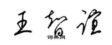 梁锦英王智谊草书个性签名怎么写