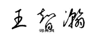 梁锦英王智瀚草书个性签名怎么写