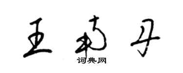 梁锦英王南丹草书个性签名怎么写