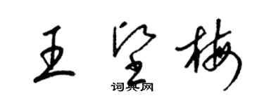 梁锦英王坚梅草书个性签名怎么写