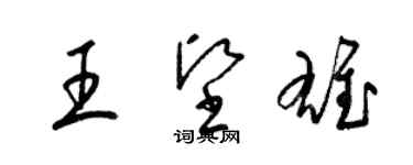 梁锦英王坚雄草书个性签名怎么写