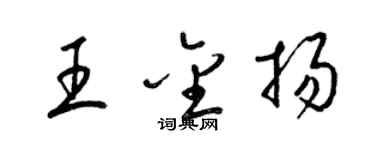 梁锦英王金扬草书个性签名怎么写