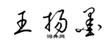 梁锦英王扬墨草书个性签名怎么写