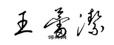 梁锦英王蕾洁草书个性签名怎么写