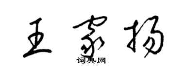 梁锦英王家扬草书个性签名怎么写