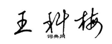 梁锦英王科梅草书个性签名怎么写
