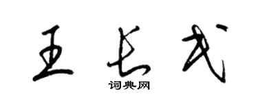 梁锦英王长民草书个性签名怎么写