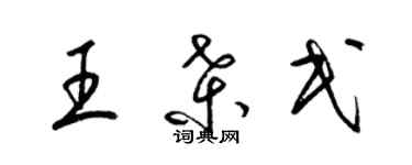 梁锦英王桑民草书个性签名怎么写