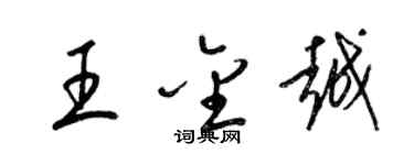 梁锦英王金越草书个性签名怎么写