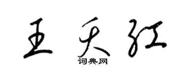 梁锦英王夭红草书个性签名怎么写
