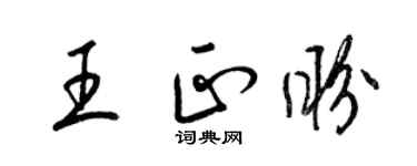 梁锦英王正盼草书个性签名怎么写