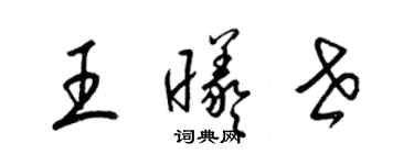梁锦英王曦世草书个性签名怎么写