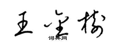 梁锦英王金树草书个性签名怎么写
