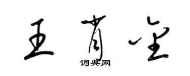 梁锦英王肖金草书个性签名怎么写