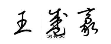 梁锦英王盛豪草书个性签名怎么写