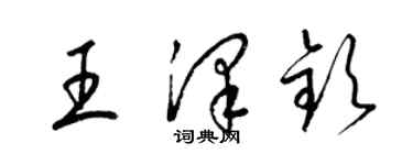 梁锦英王泽钦草书个性签名怎么写