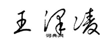 梁锦英王泽凌草书个性签名怎么写