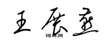 梁锦英王展燕草书个性签名怎么写