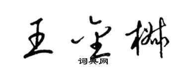 梁锦英王金椒草书个性签名怎么写