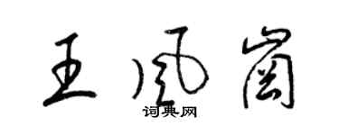 梁锦英王风岗草书个性签名怎么写