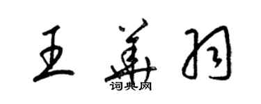 梁锦英王华羽草书个性签名怎么写