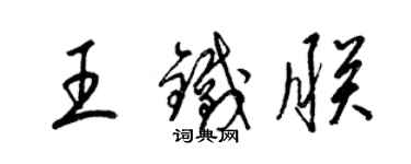 梁锦英王铁朕草书个性签名怎么写