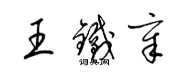 梁锦英王铁章草书个性签名怎么写