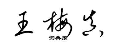 梁锦英王梅真草书个性签名怎么写