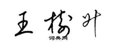 梁锦英王树升草书个性签名怎么写