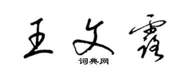 梁锦英王文露草书个性签名怎么写