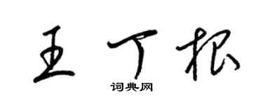 梁锦英王丁根草书个性签名怎么写