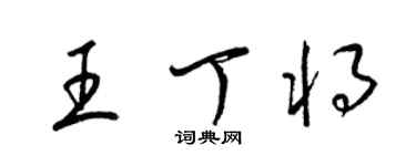 梁锦英王丁将草书个性签名怎么写