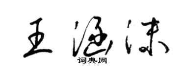 梁锦英王涵沫草书个性签名怎么写
