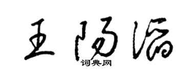 梁锦英王阳滔草书个性签名怎么写
