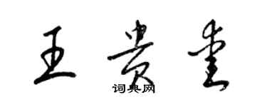 梁锦英王贵爱草书个性签名怎么写