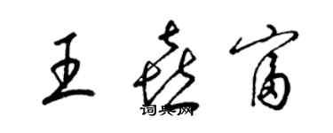 梁锦英王喜富草书个性签名怎么写